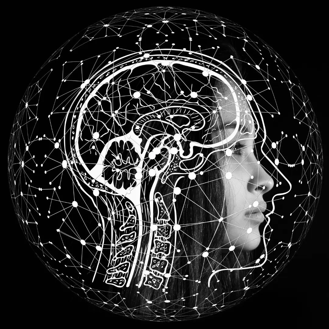 Your brain decides what to notice with tinnitus habituation.